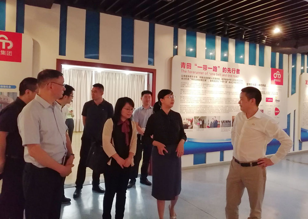安特儀表集團(tuán)有限公司
