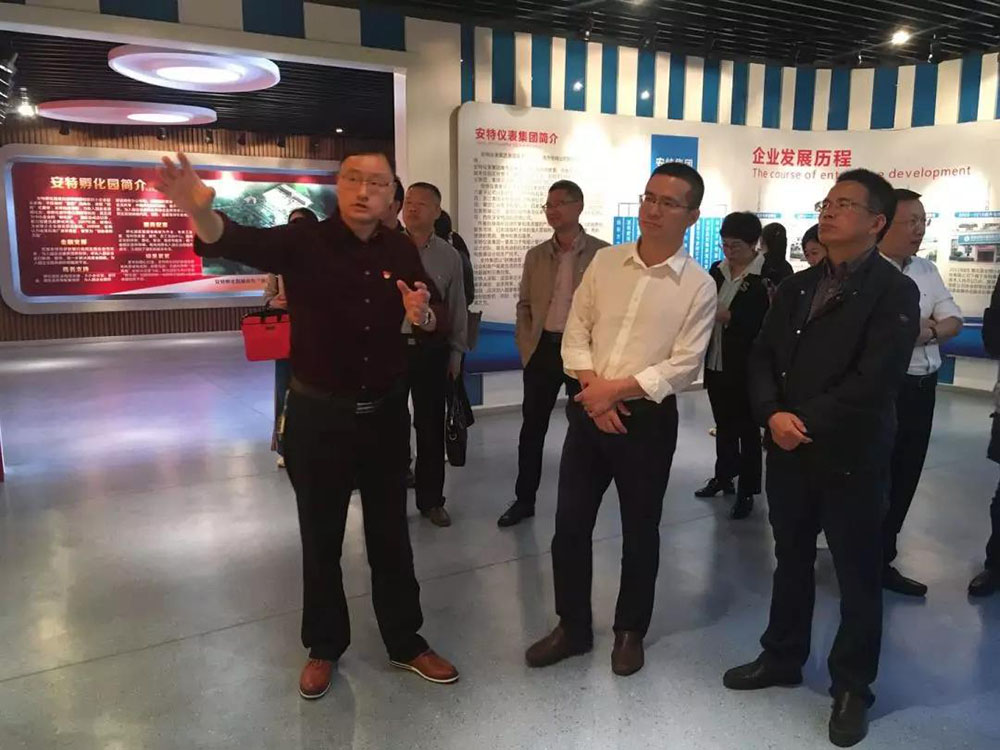 安特儀表集團有限公司 安特儀表集團有限公司