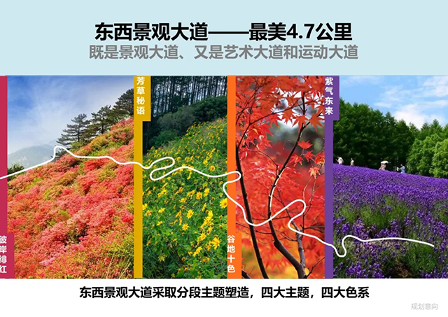 ANTE INSTRUMENT GROUP CO., LTD.