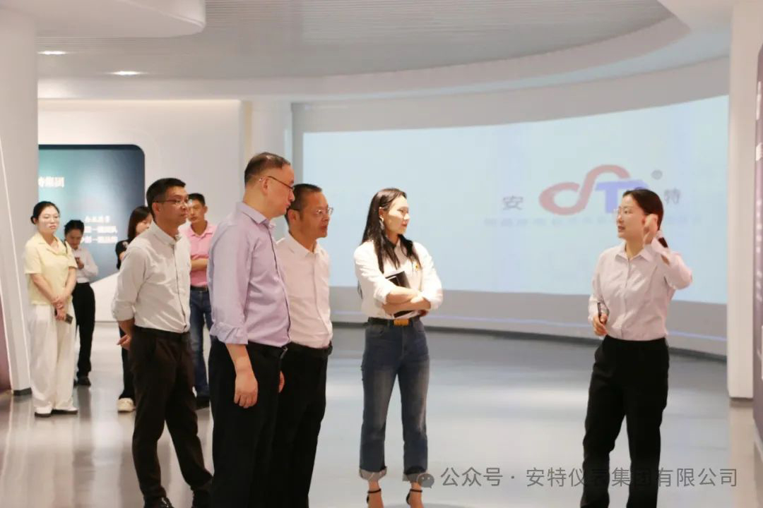 安特儀表集團有限公司