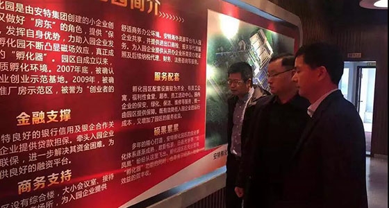 麗水市經(jīng)信局副局長李建軍一行對安特小微企業(yè)孵化園進行調(diào)研
