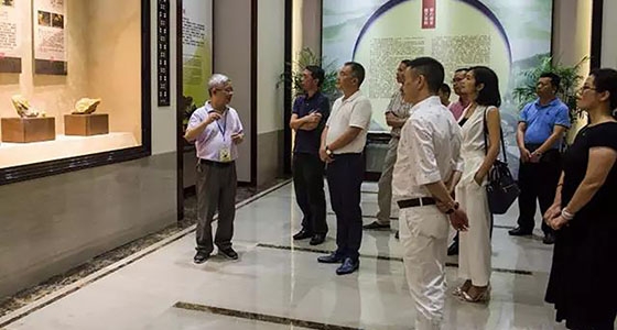 市、縣人大代表一行來館參觀調(diào)研