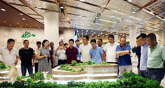 甌南街道赴東堡山華僑文博生態(tài)城規(guī)劃館參觀交流