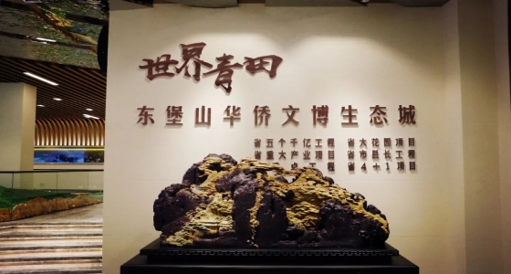青田縣委常委、常務(wù)副縣長陶軍友一行蒞臨東堡山華僑文博生態(tài)城規(guī)劃館
