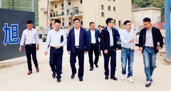 Yin Shifeng, magistrado adjunto del condado de Qingtian, inspeccionó e investigó el proyecto de ciudad ecológica del Museo Cultural Chino de Ultramar de la monta?a Dongbao