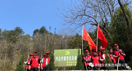 黨建強(qiáng)引領(lǐng)，共植先鋒林
