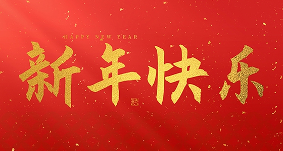 安特儀表集團(tuán)有限公司祝大家2025新年快樂！