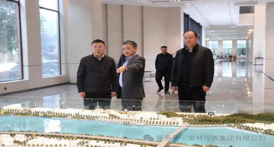 麗水市政府副秘書長(zhǎng)王永國(guó)一行調(diào)研安特集團(tuán)